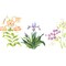 Lily Flower Mix Wall Stencil | 1766 by Designer Stencils | Floral Stencils | Reusable Art Craft Stencils for Painting on Walls, Canvas, Wood | Reusable Plastic Paint Stencil for Home Makeover | Easy to Use & Clean Art Stencil